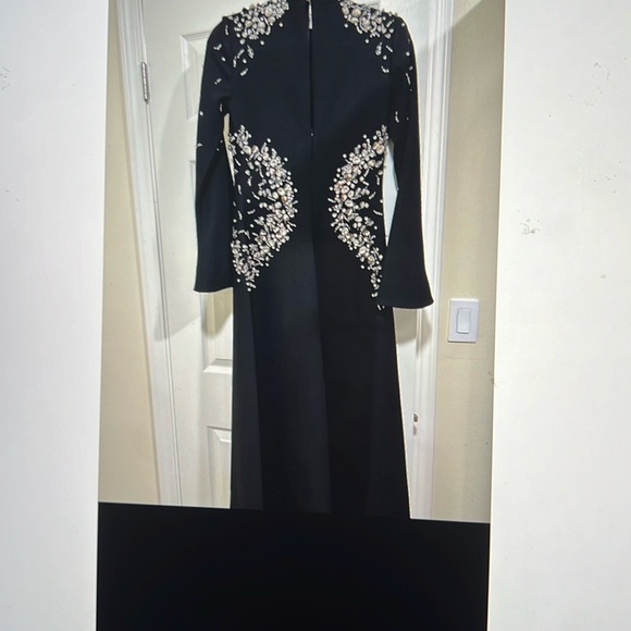 This is a Simlhaki dress Odetta crystal embellished midi dress